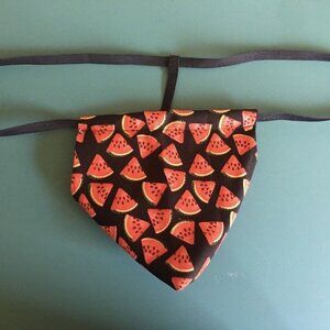 Mens WATERMELON Fruit String Thong Male Picnic Underwear